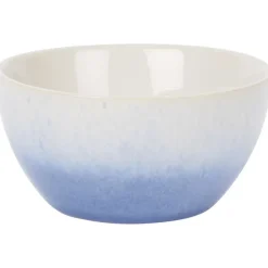 Merk Aardewerk Schaal Meerkleurig