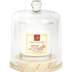 Candra Absolu Chic Geurkaars In Stolp New