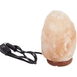 LSC Smart Connect Absolu Chic Zoutsteenlamp Roze Best