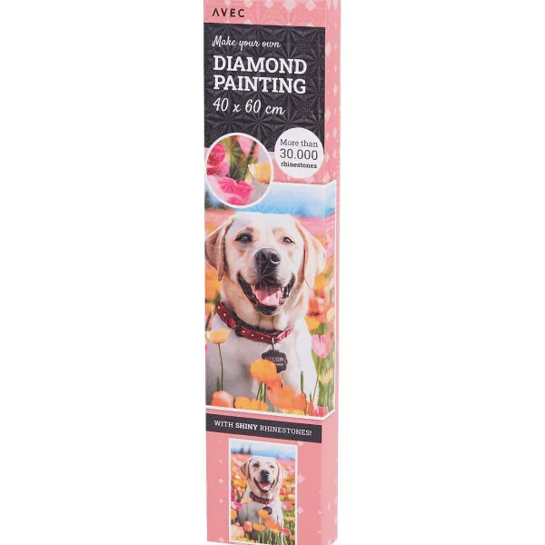 Disney Avec Diamond Painting Meerkleurig Sale