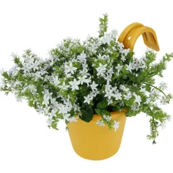 Merk Balkonbloempot Beige,Groen,Geel New