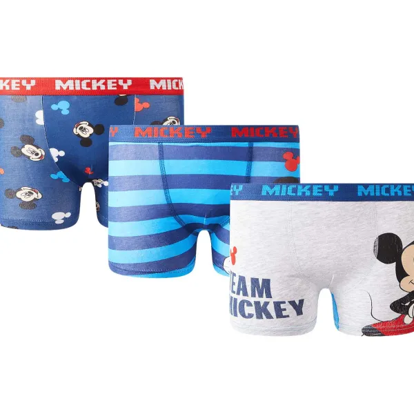 Paw Patrol Boxershorts Print Online