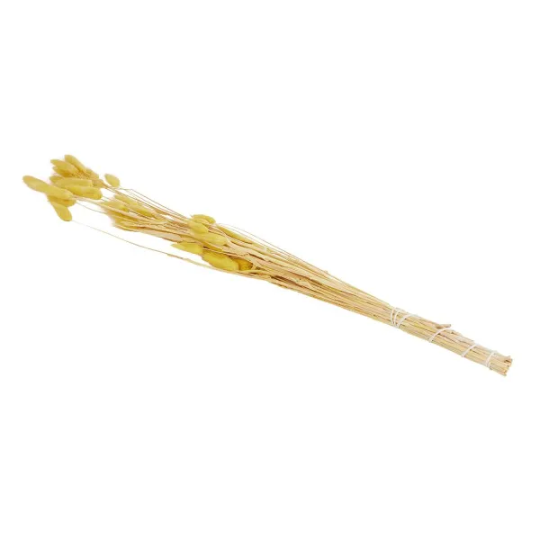 Green Boots Droogboeket Beige,Blauw,Bruin,Roze,Paars