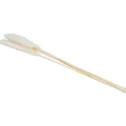 Green Boots Droogboeket Beige,Blauw,Bruin,Roze,Paars