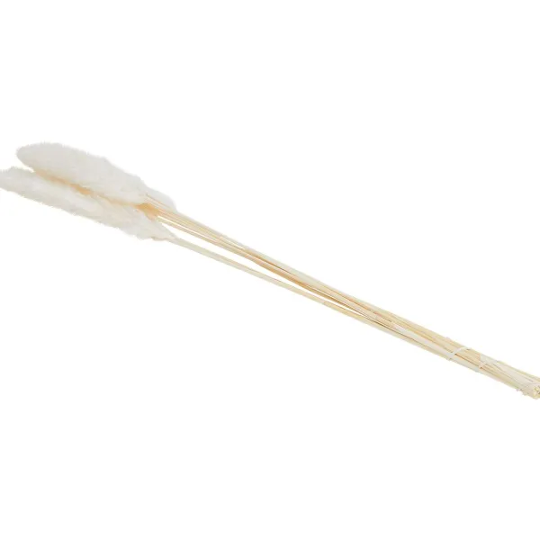 Green Boots Droogboeket Beige,Blauw,Bruin,Roze,Paars