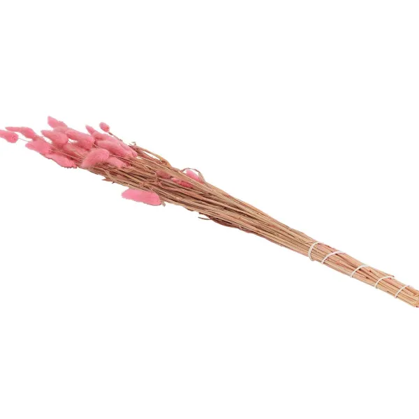 Green Boots Droogboeket Beige,Blauw,Bruin,Roze,Paars