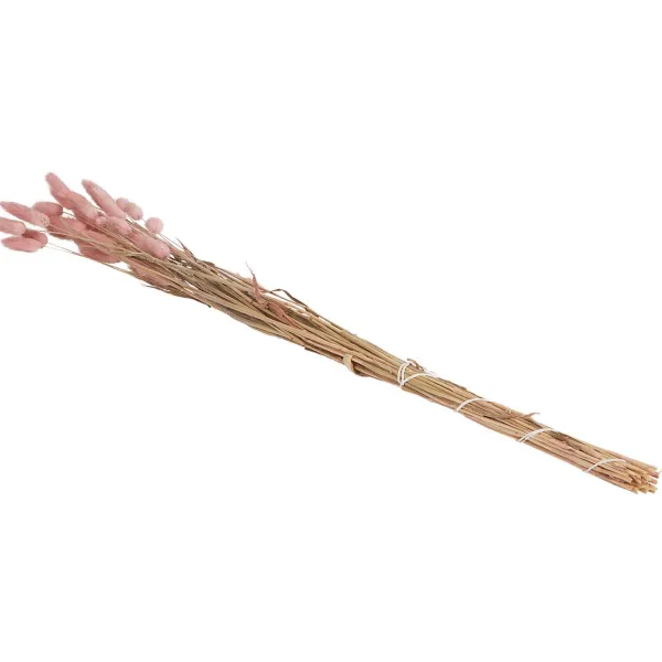 Green Boots Droogboeket Beige,Blauw,Bruin,Roze,Paars