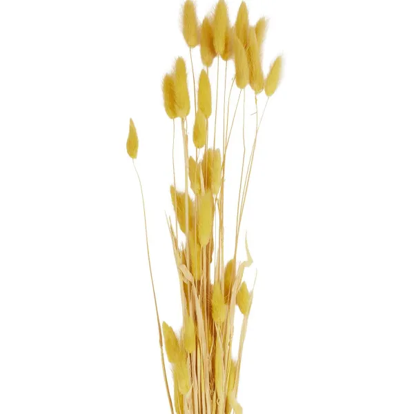 Green Boots Droogboeket Beige,Blauw,Bruin,Roze,Paars