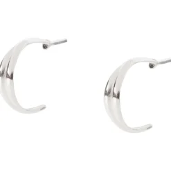 Merk En Oorbellen Zilver