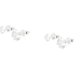 Merk En Oorbellen Zilver