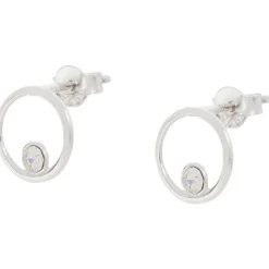 Merk En Oorbellen Zilver