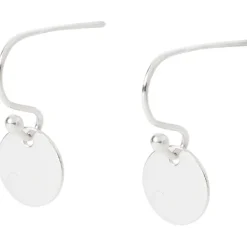 Merk En Oorbellen Zilver