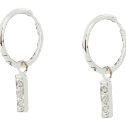 Merk En Oorbellen Zilver