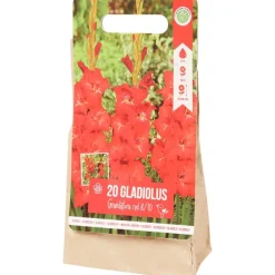 Green Boots Gladiolen Bloembollen Outlet