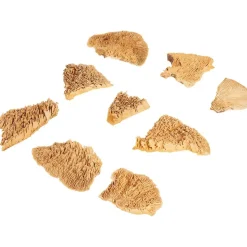 Merk Home Accents Natural Droogmix Sale