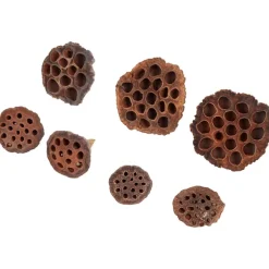 Merk Home Accents Natural Droogmix Sale