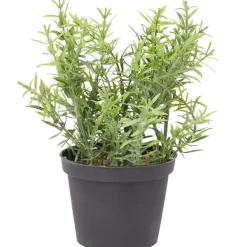 Merk Kunstkruidenplant Clearance