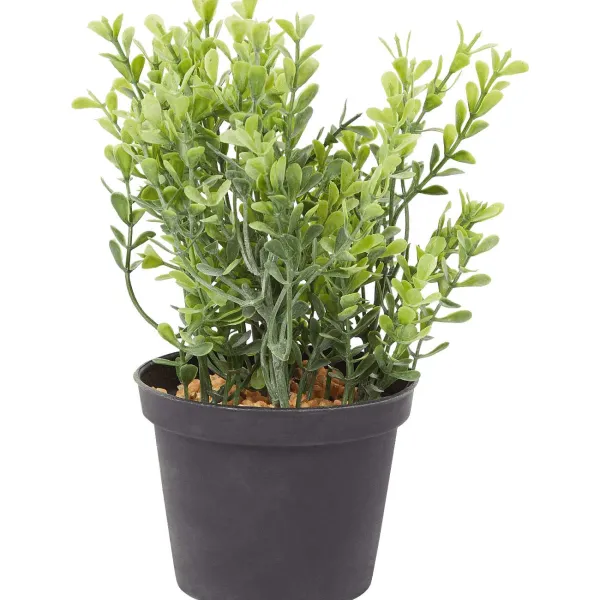 Merk Kunstkruidenplant Clearance