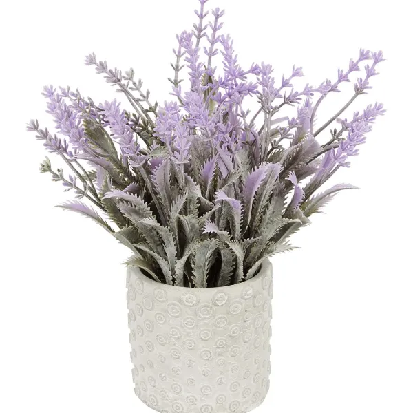 Merk Kunstlavendel In Pot Paars Best