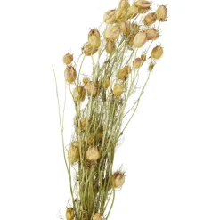 Merk Nederlandse Droog Kunstbloemen Best