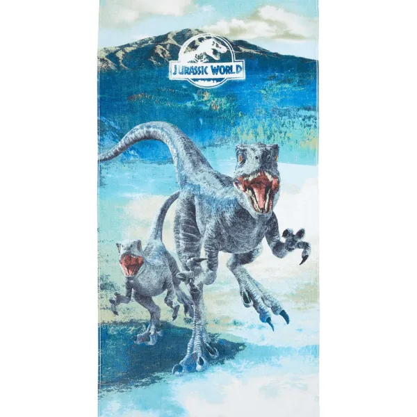 Disney Strandlaken Print Hot