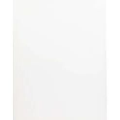 Van Bleiswijck Schildersdoek Wit Discount